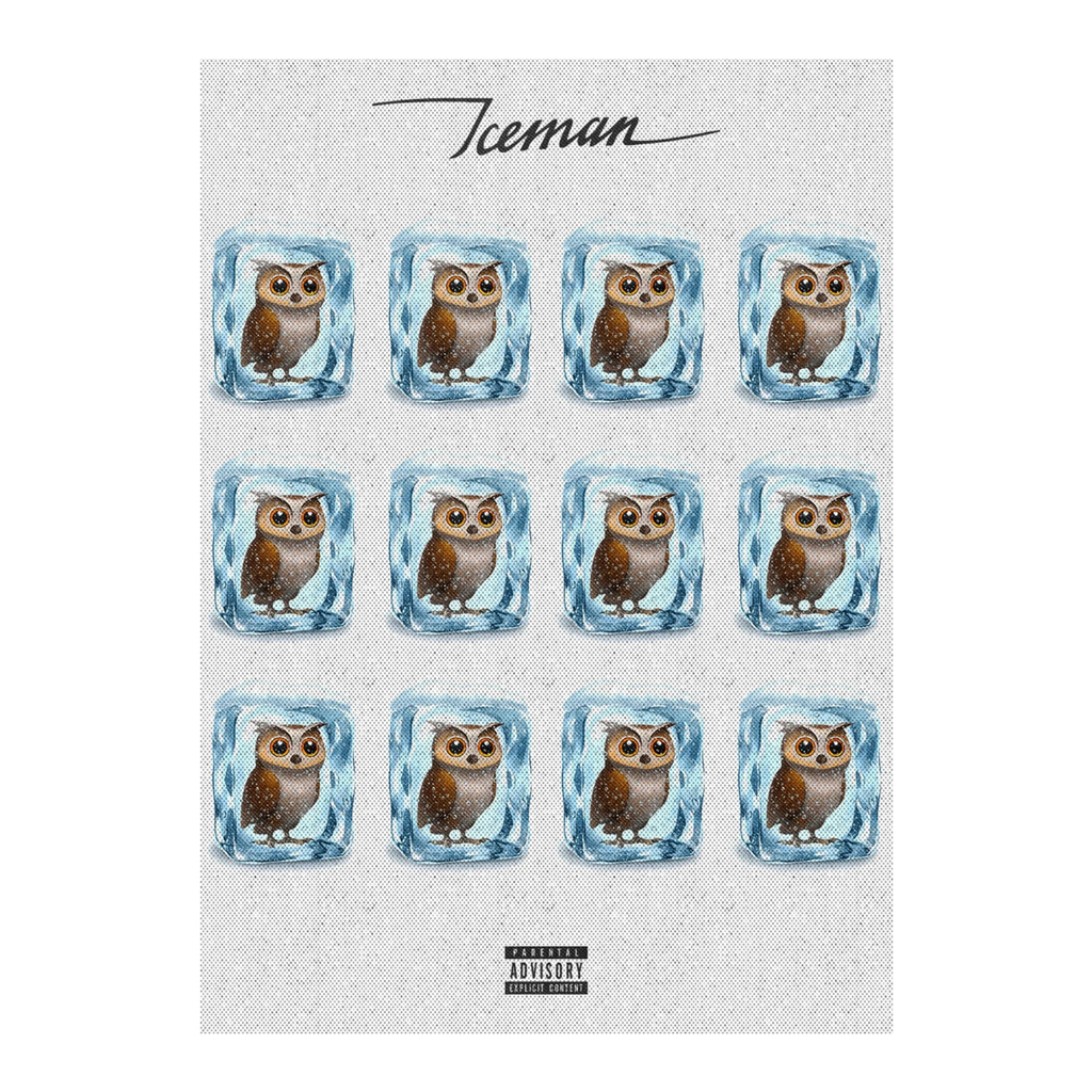 Iced Owls | Iceman Album Print