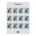 Iced Owls | Iceman Album Print