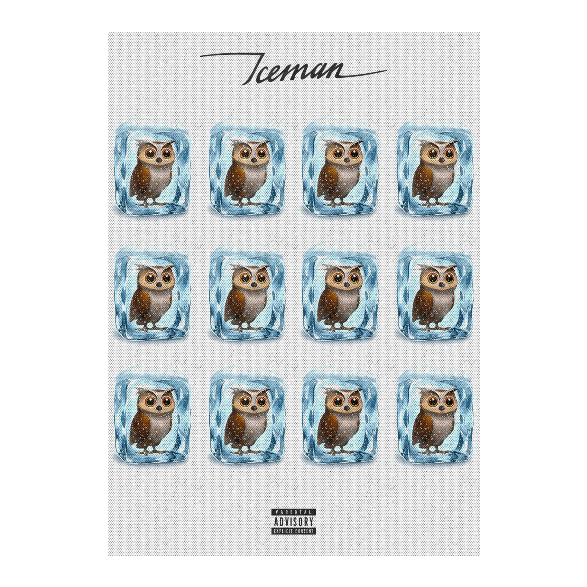 Iced Owls | Iceman Album Print