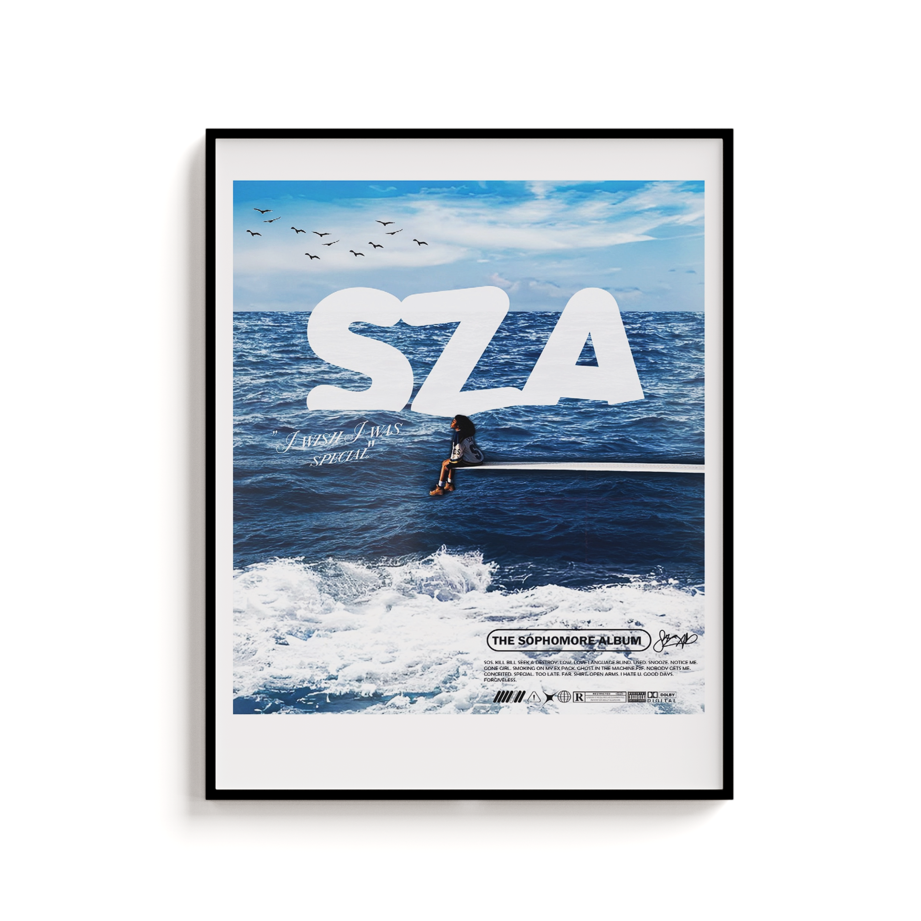 SOS Album Cover | SZA Music Print